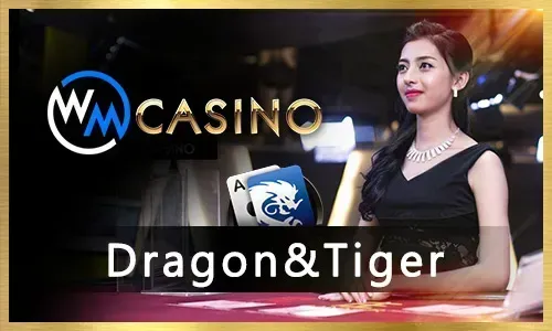 Online Poker Tournaments